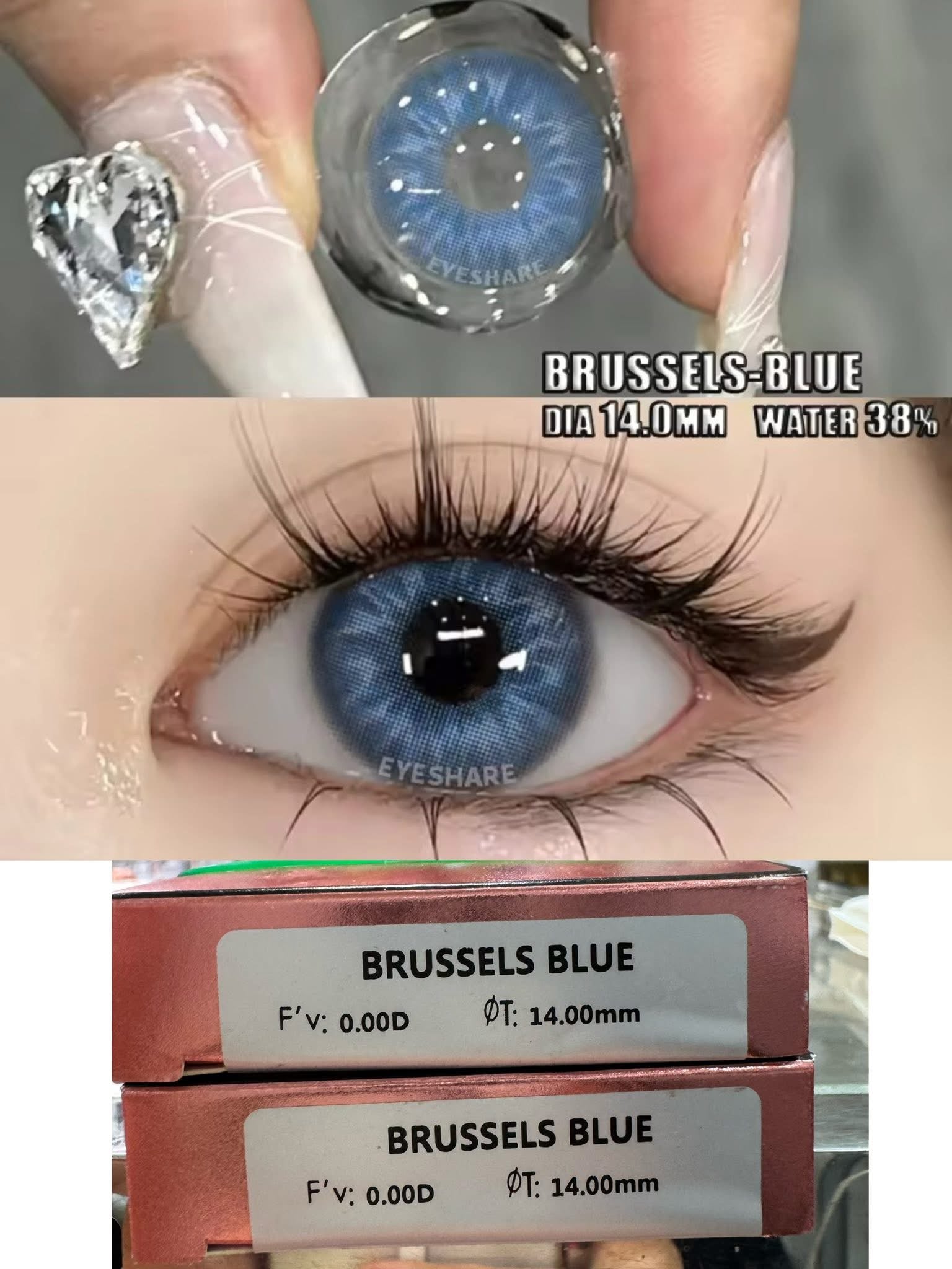 Brussels colors contacts