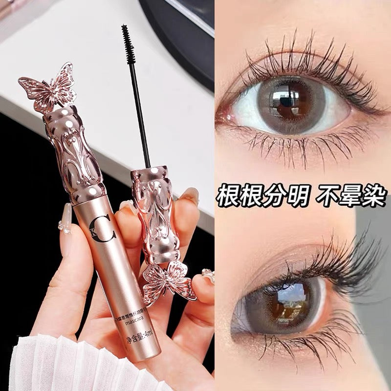 Untitled Sep19_20:25